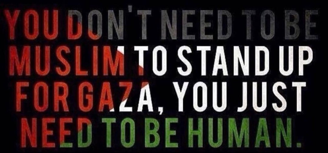 itsSNK_official's tweet photo. Can we stand out and prove that humanity still exists!! https://t.co/7xigdaE3TG