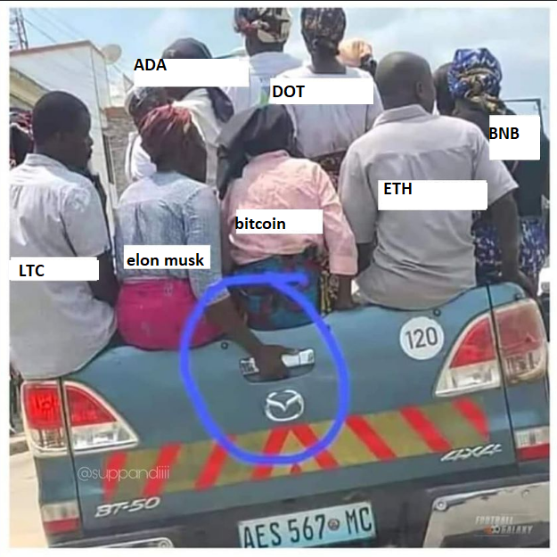 yes_myron's tweet photo. #cryptomemes #cryptocurrencymemes #btc #ethdoge is driving the car https://t.co/RqRMoFnvZv
