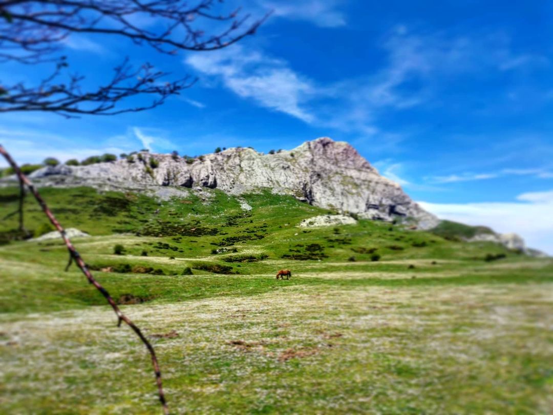 GorbeiaEuskadi's tweet photo. 📸 @nane_drone_eyes #Instagram
🧡🌳⛰ #Gorbeia eta bere inguruak naturaren altxorrak dira, nahi duzun bezala eta nornahirekin gozatzeko. Euskadiren bihotz berdea zain daukazu.
📍 Peña #Lekanda #Arraba-ko zelaietatik
https://t.co/IJmigWdf7m
#GorbeiaEuskadi https://t.co/w0IEwTQ41Q