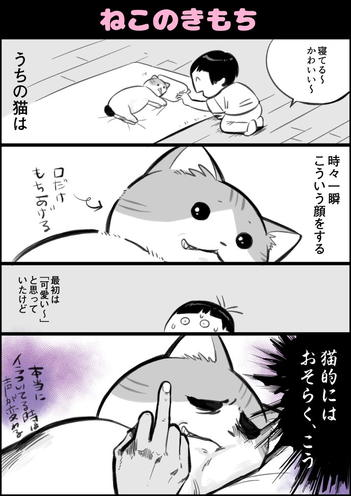 Jr 猫が人間と同じ表現できたら 尻をよく触る私はセクハラで訴えられてる気がする 猫漫画 Jr漫画 T Co W4edpvsgec Twitter