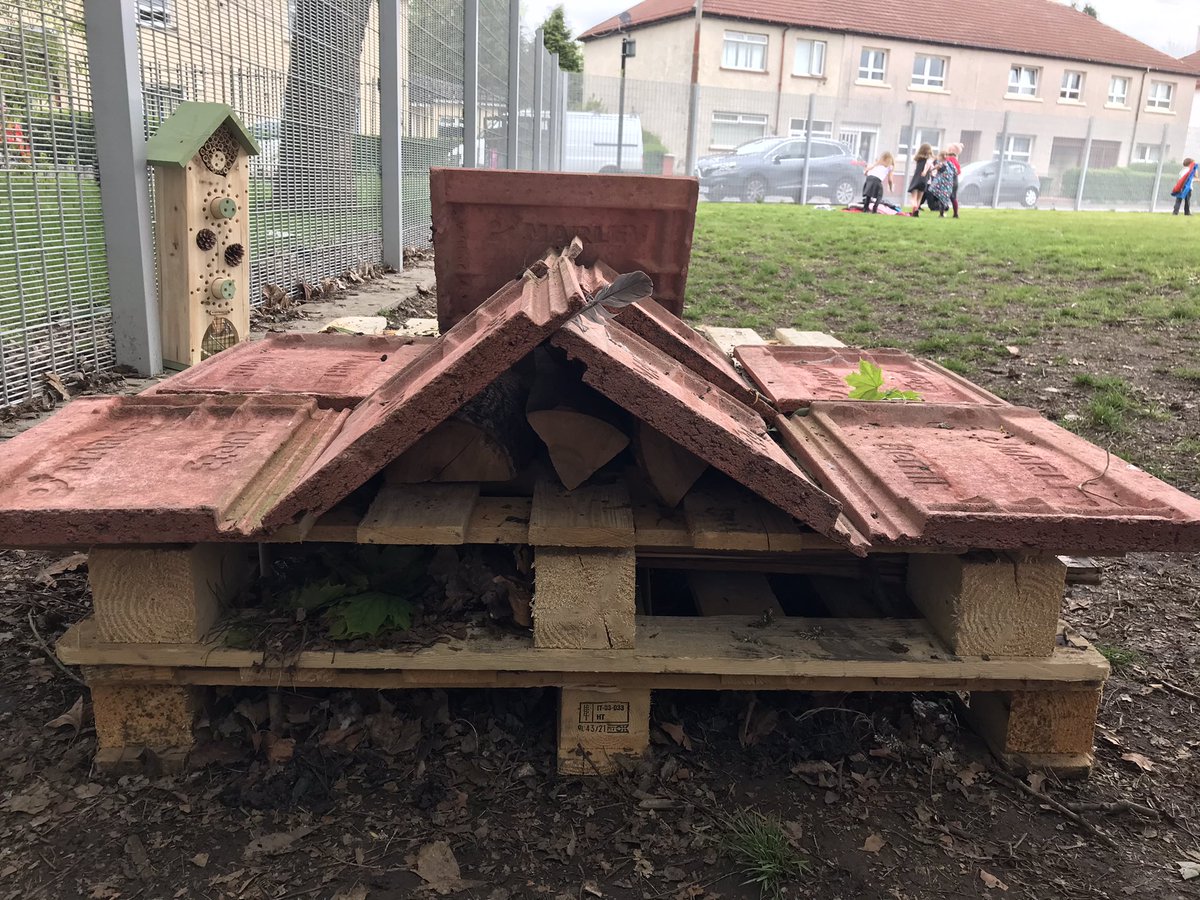 Kay Cameron tweet media