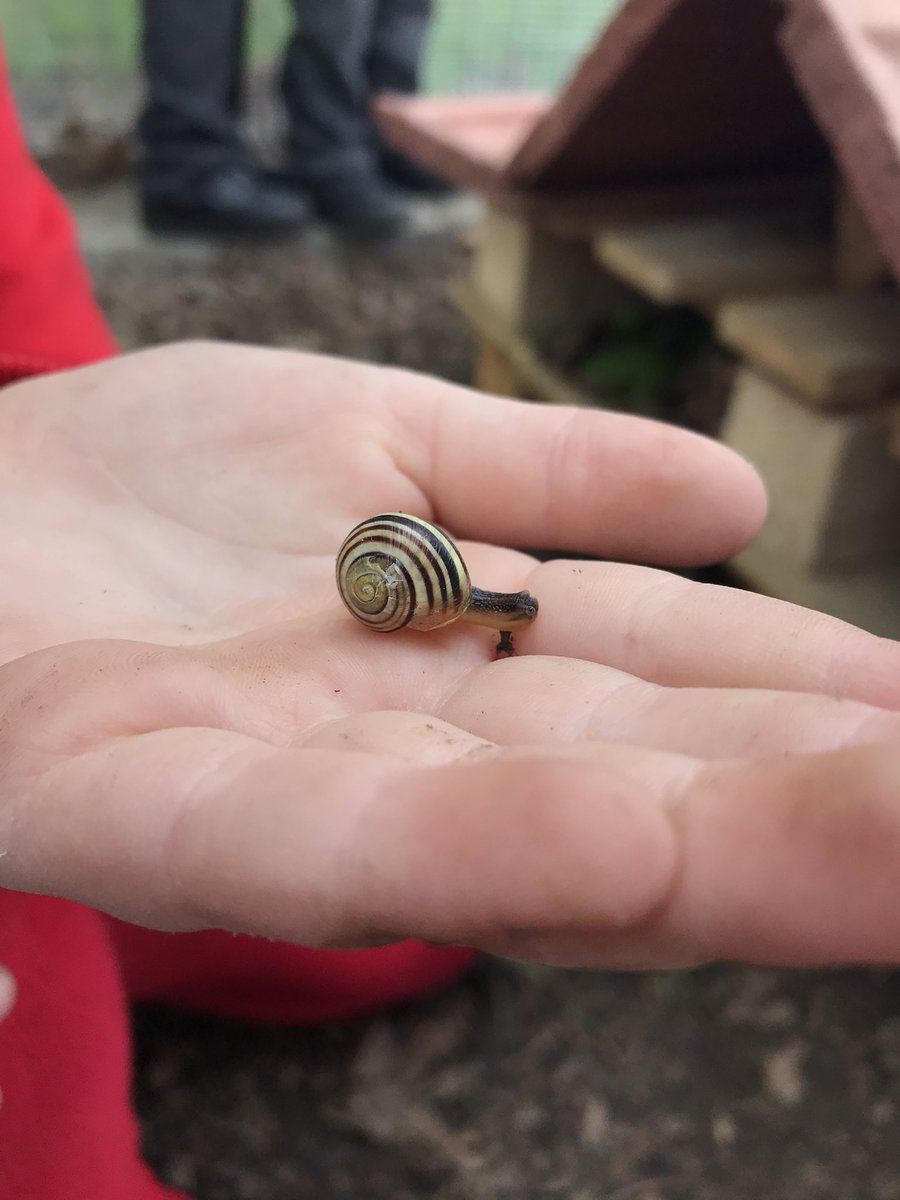 Kay Cameron tweet media