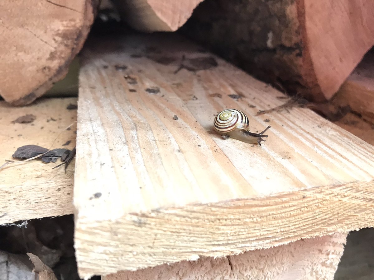 Kay Cameron tweet media