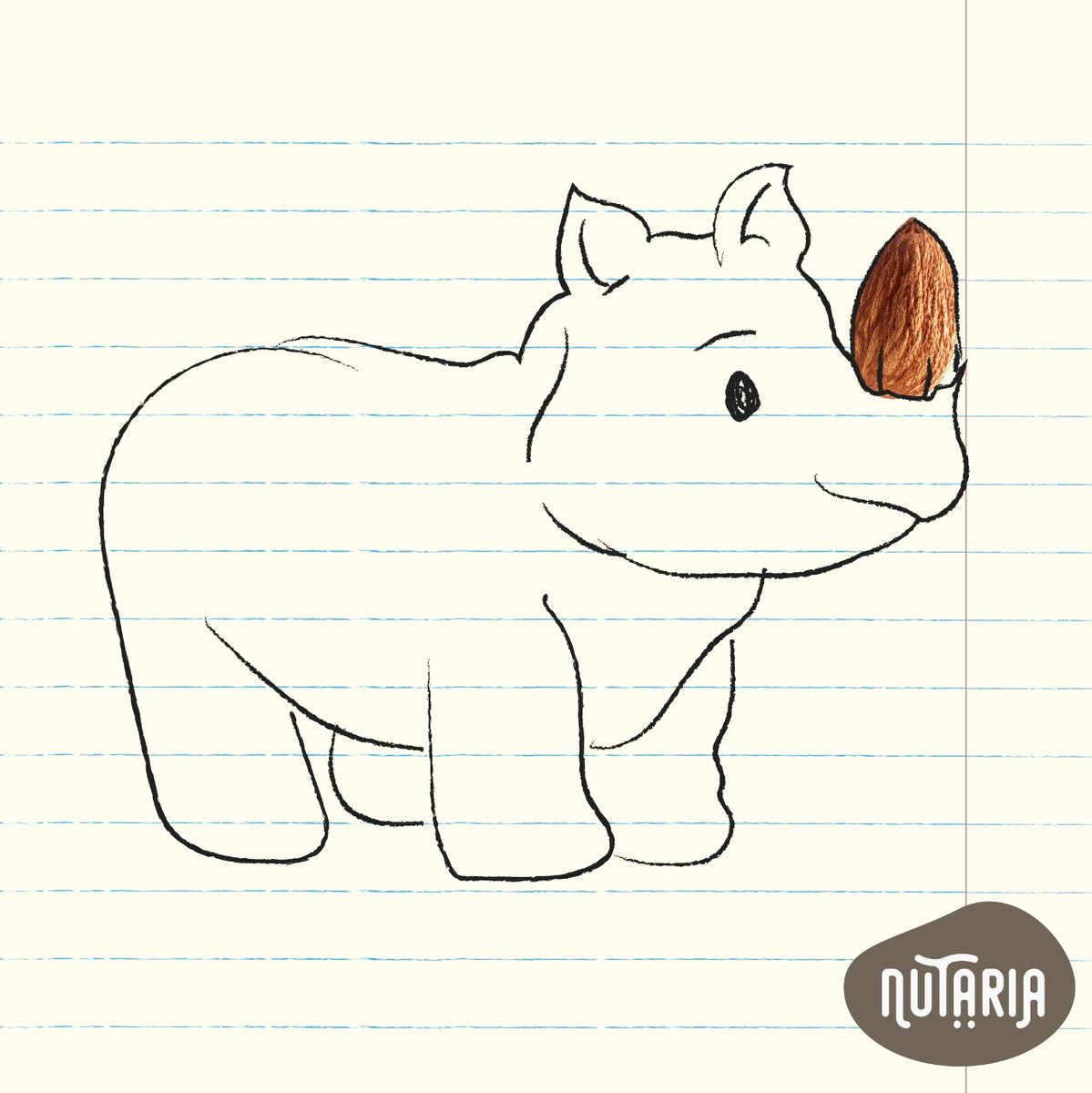 NutariaZA's tweet photo. Just like Nutaria rhinos are bold, daring and appreciate a great healthy snack!
β
#Nuts #health #healthyeating #nuts4nuts #nutsaboutnuts #nutsandmore https://t.co/XwQ8dRKtAM
