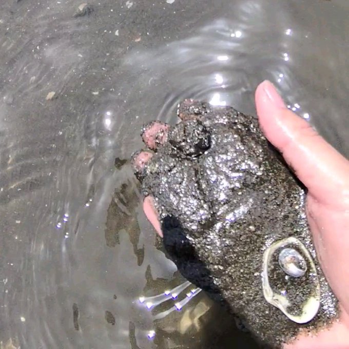 モアイ像のtwitterイラスト検索結果 古い順