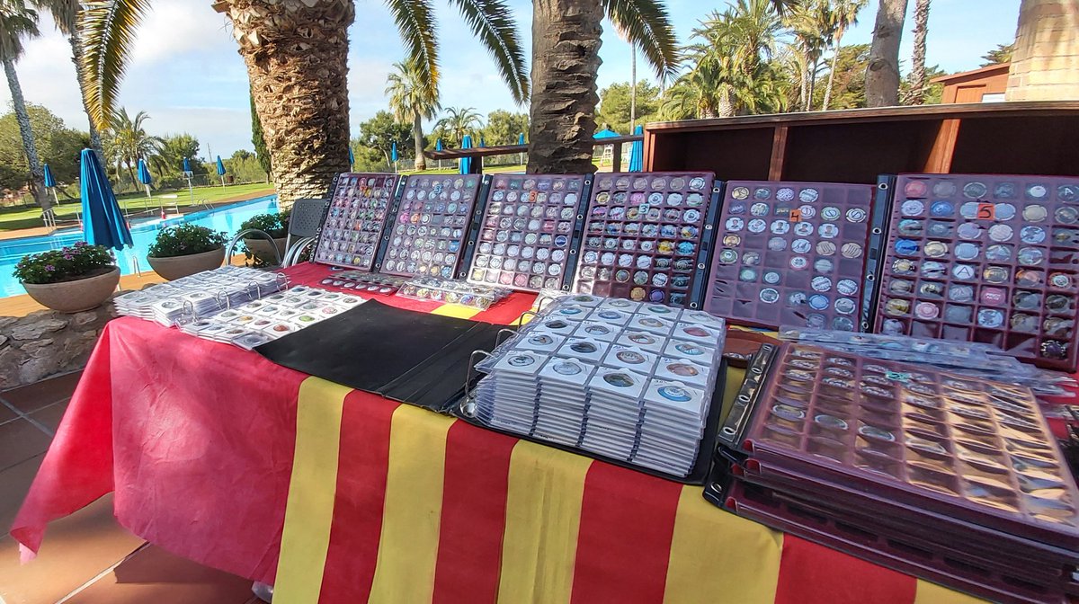 Avui trobada de plaques de cava