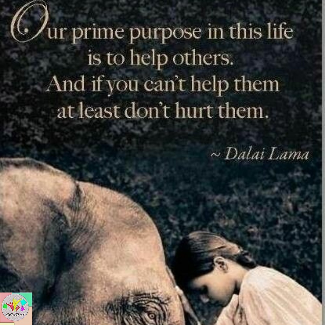allouttrend's tweet photo. That animals think, feel and know in much the same way as we do- and that their lives are, to them, as precious ours are to us.
📸Sue https://t.co/rUDVKNutLX