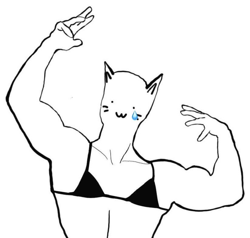 tinybuffcat's tweet photo. i feel like this right now https://t.co/Kas4pKYbYD