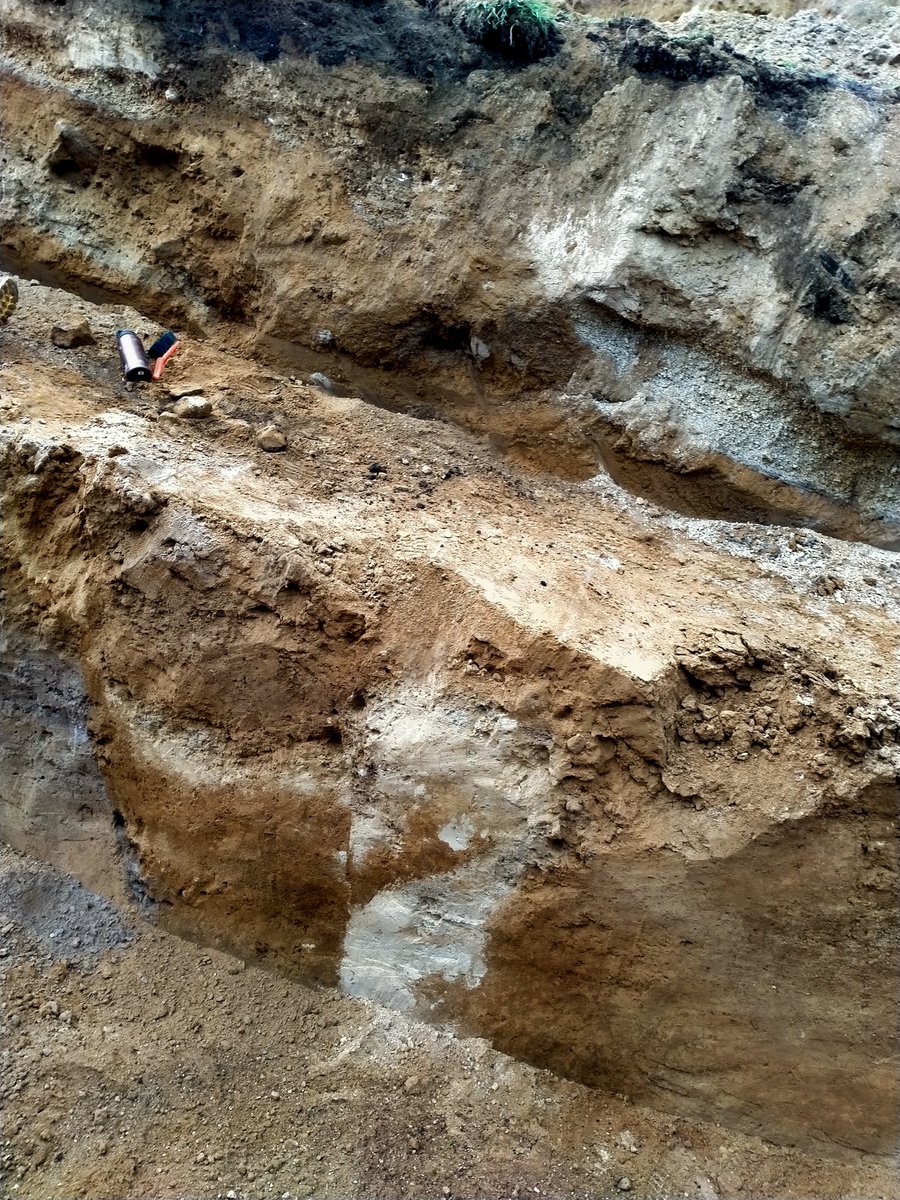 Pilar Villamor tweet media