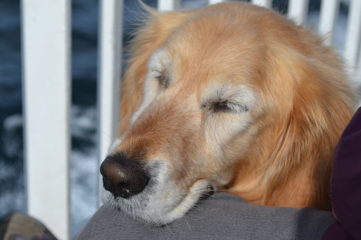 Bramber Bears💜 tweet media