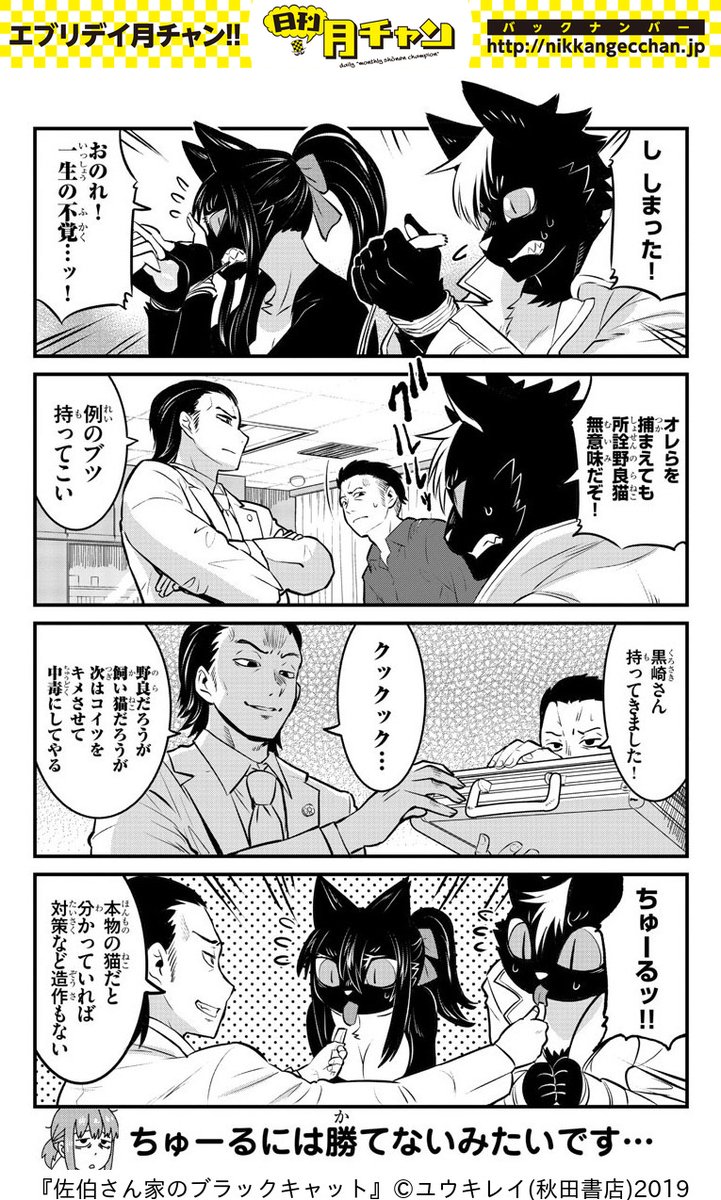 Twoucan ブラックキャット の注目ツイート イラスト マンガ Twoucan ブラックキャット の注目ツイート イラスト マンガ