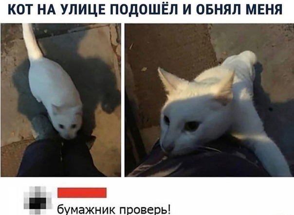 Диб) (@dibhumor) on Twitter photo 