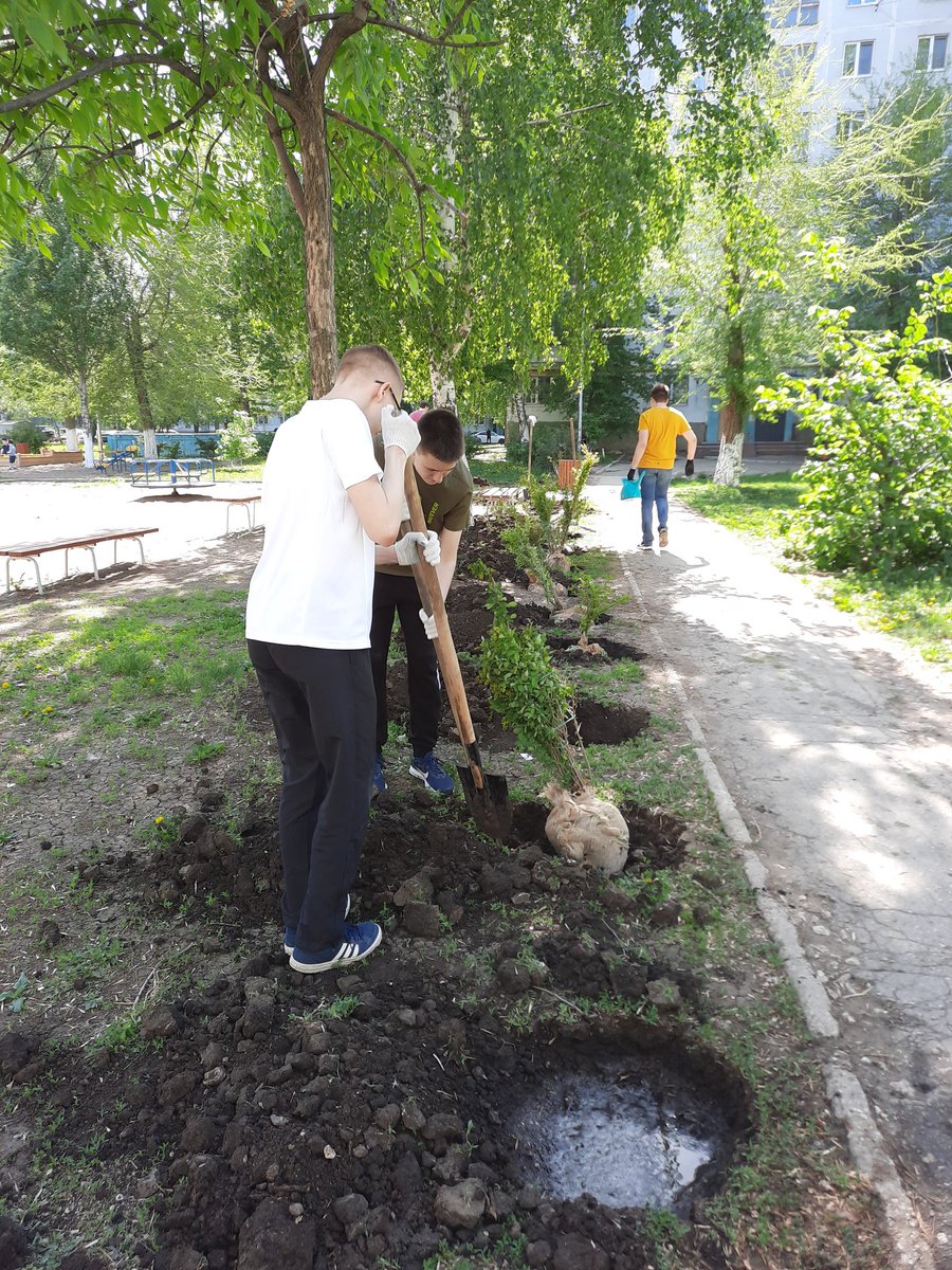 <a href="/osmladya2/">Райф Белла Шлемовна (председатель ТОС Ладья)</a> 
Продолжается благоустр.территорийпред.ТОС
Ладья Б.Ш.Райф совместно с  волонтерами
 школы 53 высадили кусты Барбариса вдоль дет.площад. М-ш121.Хочется выразить огромную благодарность ребятам за оказанную помощь.
Большое спасибо!
Все молодцы!
<a href="/promadm/">Promadm.samara</a> 
@Semenov_A_S