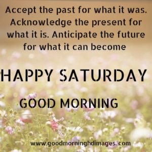 jacquipark68's tweet photo. Good morning my lovelies a bit miserable outside just the excuse for a cosy day indoors x https://t.co/LMR2bsrVFb