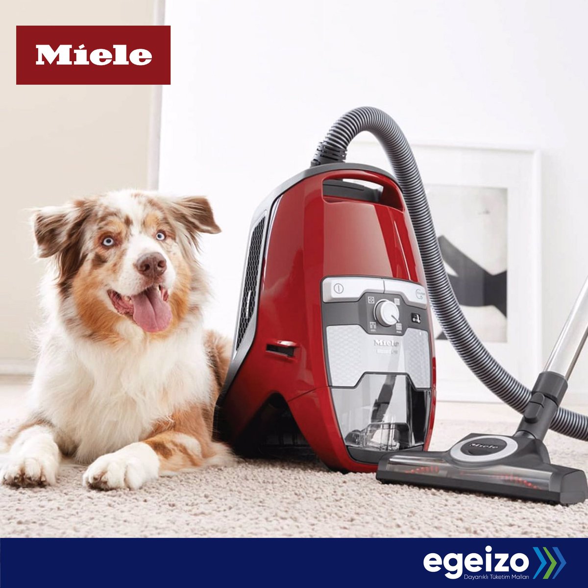 Evdeki patili dostlarınızın tüyleri ve kokusu aranıza girmesin; temizliği turbo fırçalı Miele Cat&amp;Dog Elektirikli Süpürgelerine bırakın, sevimli dostlarınızla mutlu anlar size kalsın !
#miele #catanddog #elektiriklisüpürge  #süpürge #izmir #egeizo