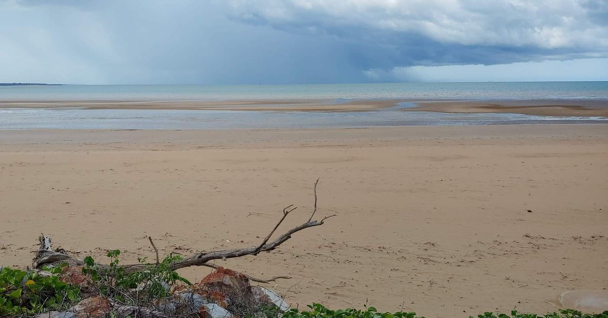 JoanDWinston1's tweet photo. Last beach walk, Australia 1-14-20. Darwin was a jumping-off place between worlds. Don't know if ever they'll let us in, so it's time to make new dreams. A new jumping-off point in time! #darwin #mindil #northernterritory #pandemicjournal #FullyVaccinated @CoralExpedition @MAG_NT https://t.co/xAxErsSaad