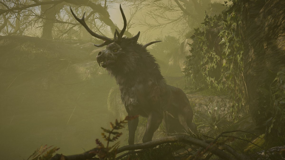 x_Saydi_x's tweet image. #AssassinsCreedValhalla #XboxShare