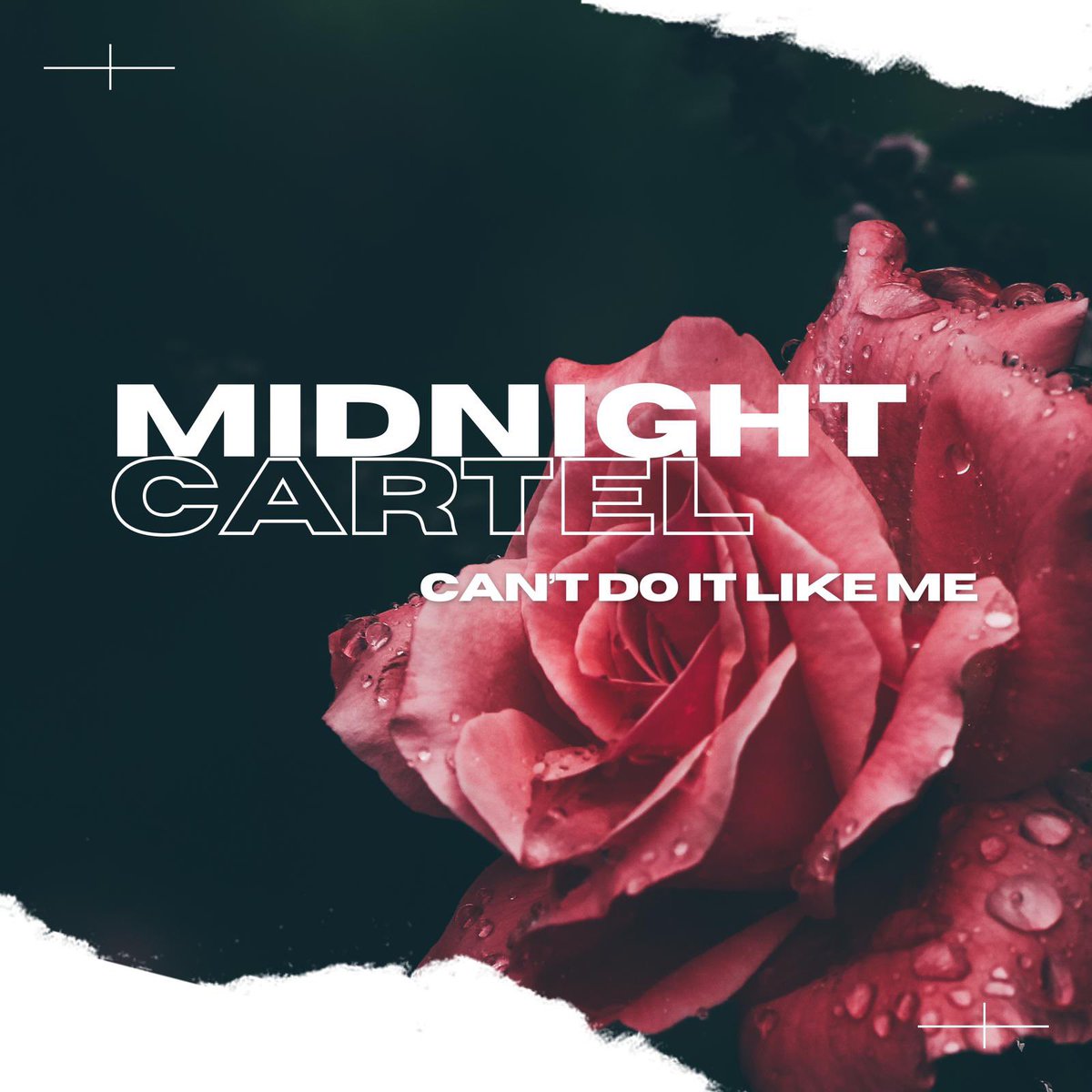 Midnight Cartel tweet media