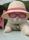 CydianGroup's tweet image. Happy weekending to you all!

I plan on wearing my Derby hat well into summer, how about you?

#ek3tech #computerexperts #ilovejax zpr.io/R9WiA