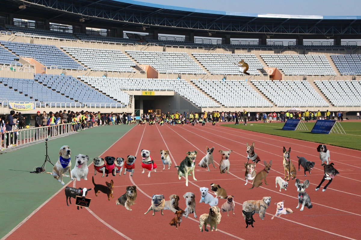 Pawventures2's tweet photo. Outdoor sports weekend! #pawventures @80sqween @Chumchu08391001 @Mommaofdexter @prefect @winstonandlily @mslr4ever @coloradousabarb @friends_gracie @Alfie_Boy_Dog @syd_akaYog https://t.co/kAJ4qFIEBb