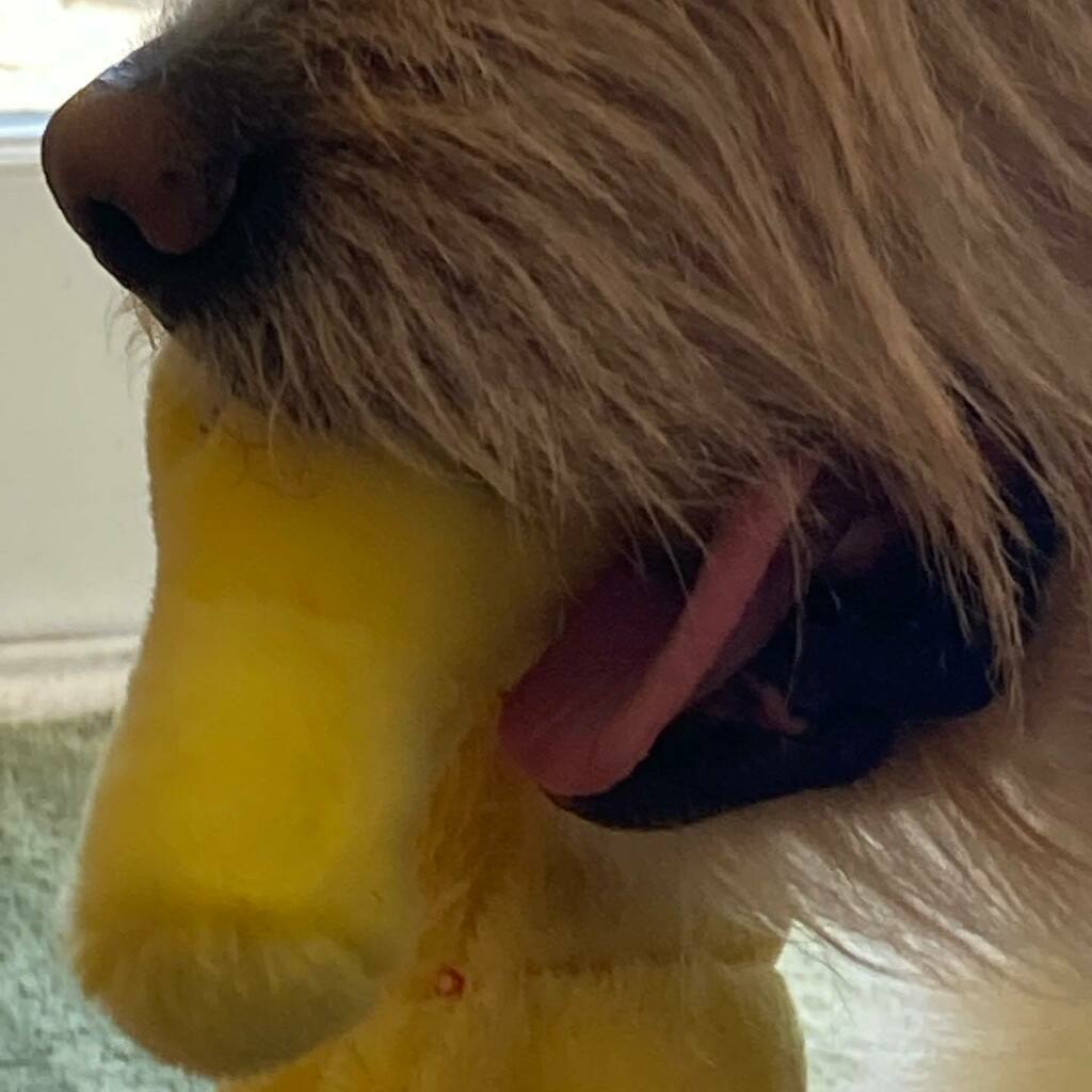 James R. Tramontana (@solidjim) on Twitter photo 