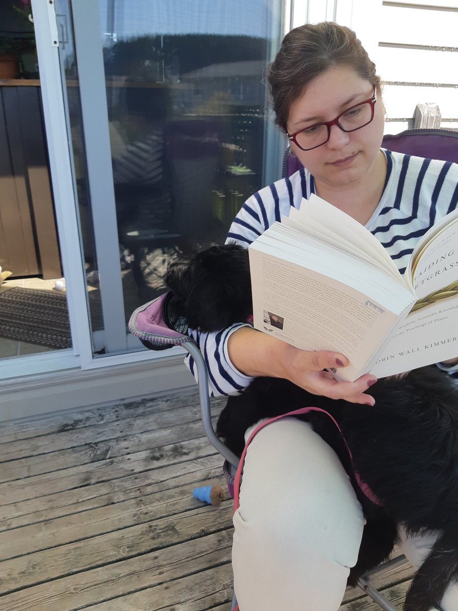 Mary-Ellen tweet media