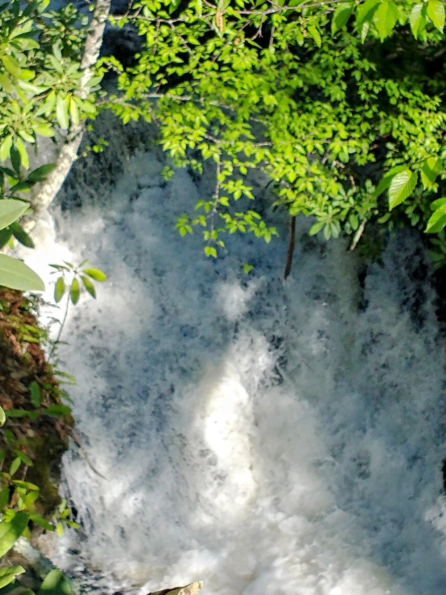 BMHSGuidance1's tweet photo. Negative ions that are abundant in waterfalls increase serotonin levels, which ultimately helps our mood. The mental health aspect comes from the relaxation-tendencies we have from the simple act of watching the motion and sound of moving water.
#dingmansfalls #silverthreadfalls https://t.co/KqmEaSJYSo