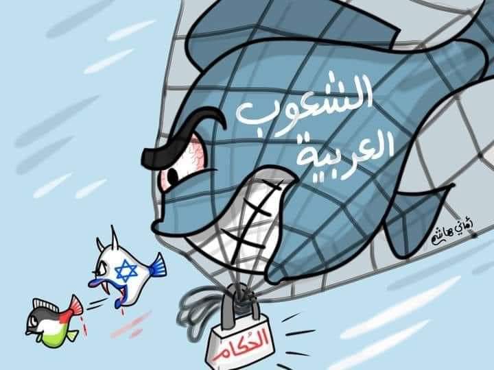 KNabawy40's tweet photo. احلام الطفولة تقترب ... 
#فلسطين_تنتصر https://t.co/o7EE1iHC0Q