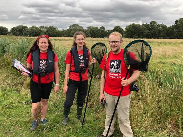 WildSheffield's tweet photo. Do you know someone this would be perfect for? We've got TWO exciting opportunities for young people (age 16-24) to become Assistant Rangers. Get the professional training and work based experience to begin a career in environmental conservation. See https://t.co/lGXPkvabN1 https://t.co/wsli9OSpyB