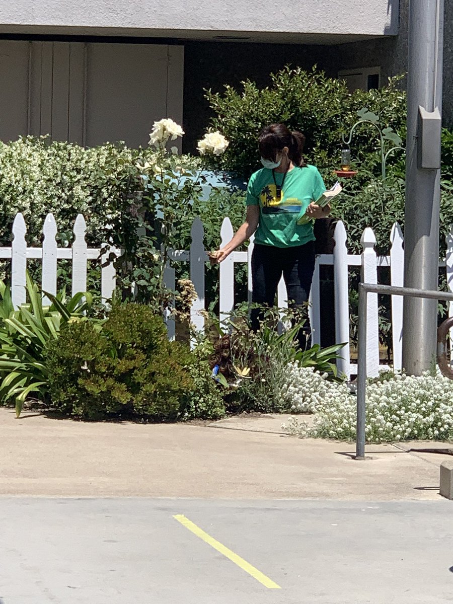 Haweselementary's tweet photo. Our resident rose expert checked on our flowers! We love to tap into the strengths of our staff members! It takes all of us! #eamwork #useyourtalent #behawesome #hawesnation https://t.co/7xuSxgQOXr