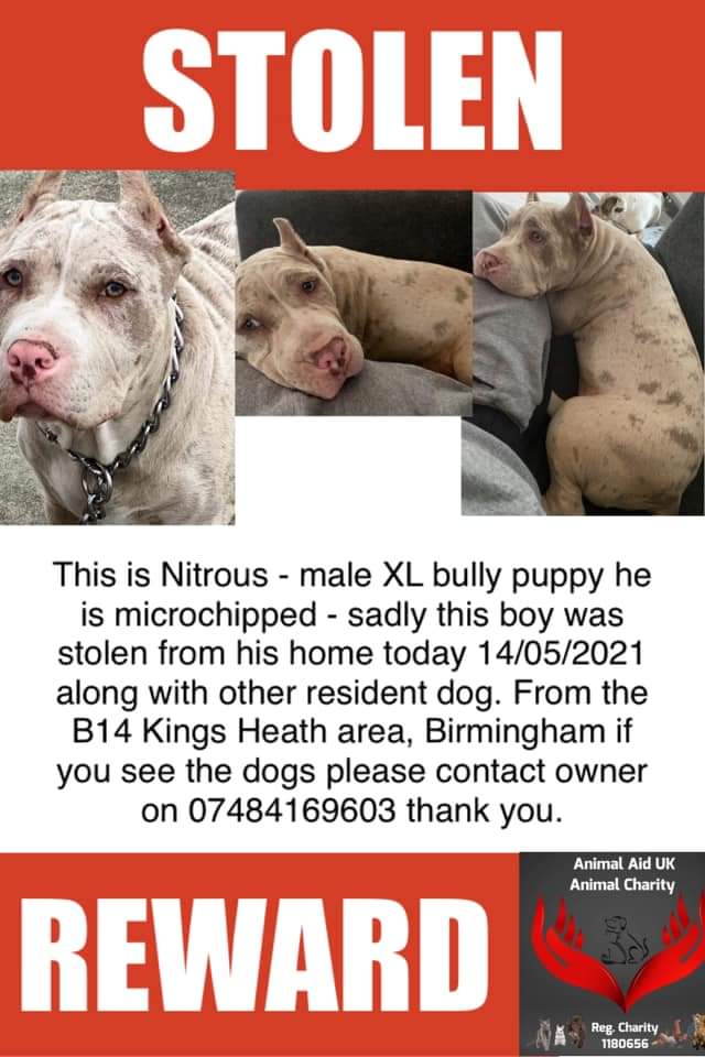 Missing Pets GB tweet media