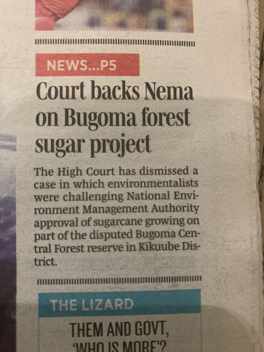 HansTenywa's tweet photo. There are very few or no judges in Uganda whose area of expertise is environment and they see nothing in giving win to environmental conservation
Fighting for biodiversity is my call remember most of the people we are fighting against are using money to shut down us #UnderstandUs https://t.co/YAOFWjicZ2
