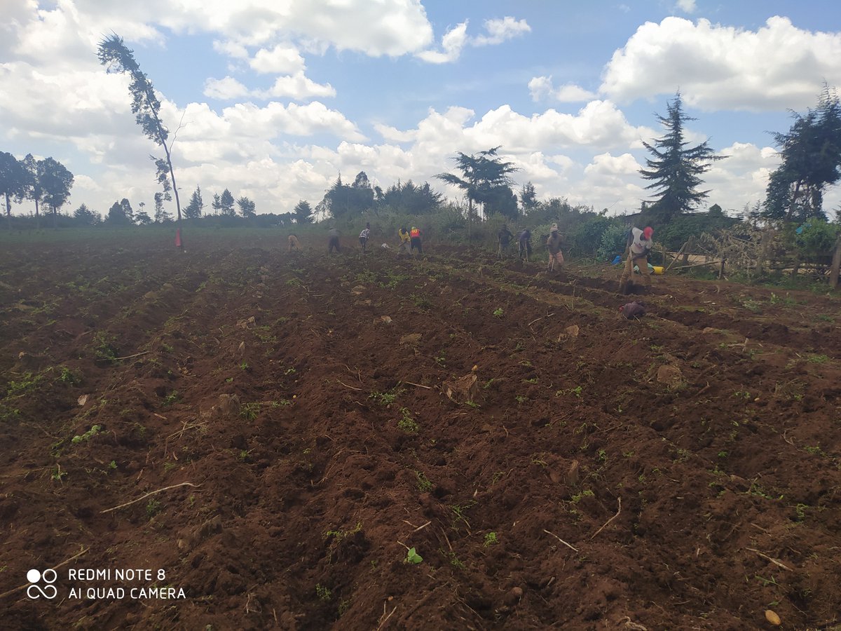 SpaceAgritech's tweet photo. Provision of sustainable labour is one of our key agenda ,we believe in mutual growth with our workers https://t.co/iKWiqyEKRG