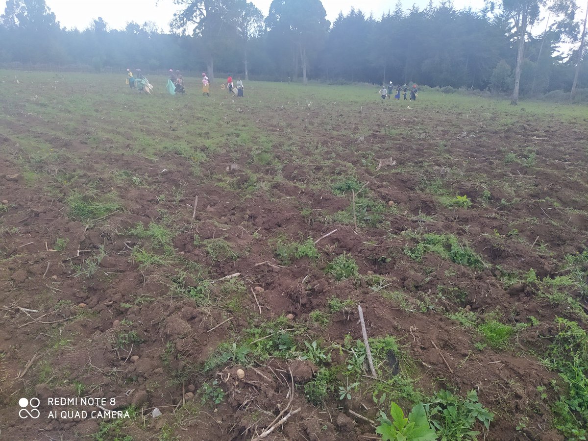 SpaceAgritech's tweet photo. Provision of sustainable labour is one of our key agenda ,we believe in mutual growth with our workers https://t.co/iKWiqyEKRG
