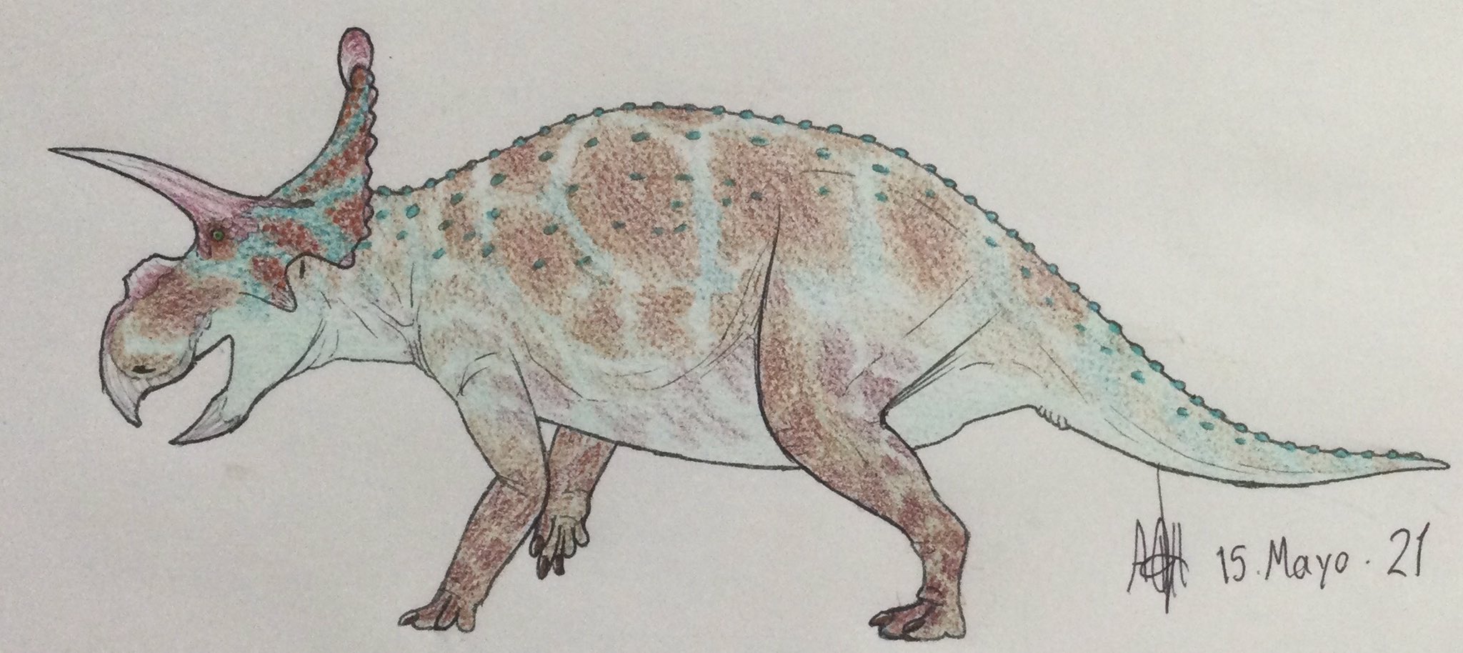 Albertaceratops