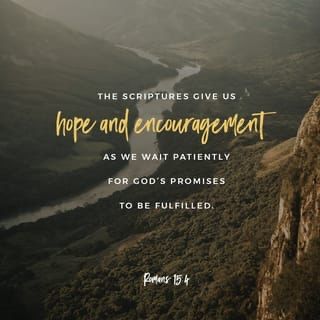 CEI_Sports's tweet photo. Need some hope and encouragement as we wait for God’s promises to be fulfilled? Let’s press into the Spirit through the Word together!
#CEIsports #YourWordIsLife2Me #Romans15v4 #Scripture #Written4Us #LearnFrom #HaveHopeAndEncouragement #WaitPatiently #GodsPromsesWillBeFulfilled https://t.co/3YXMgUhs2u