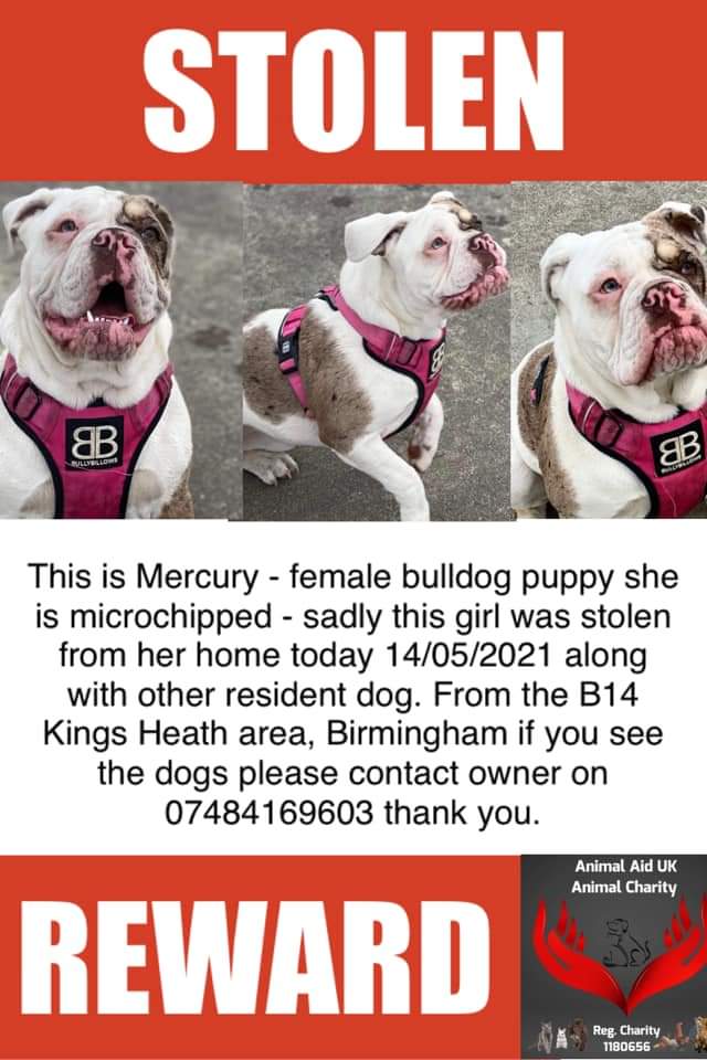Missing Pets GB tweet media
