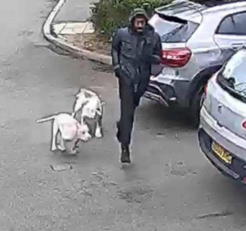 Missing Pets GB tweet media