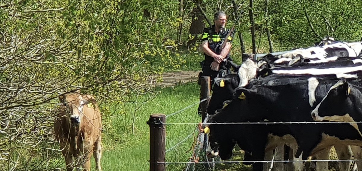 Melding politie Terhorst Beilen