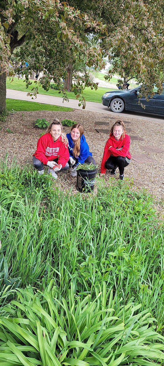 Dunkerton Softball (DunkSoftball) Twitter