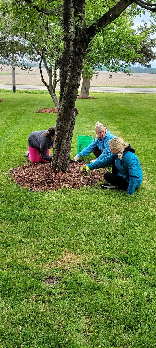 Dunkerton Softball (DunkSoftball) Twitter