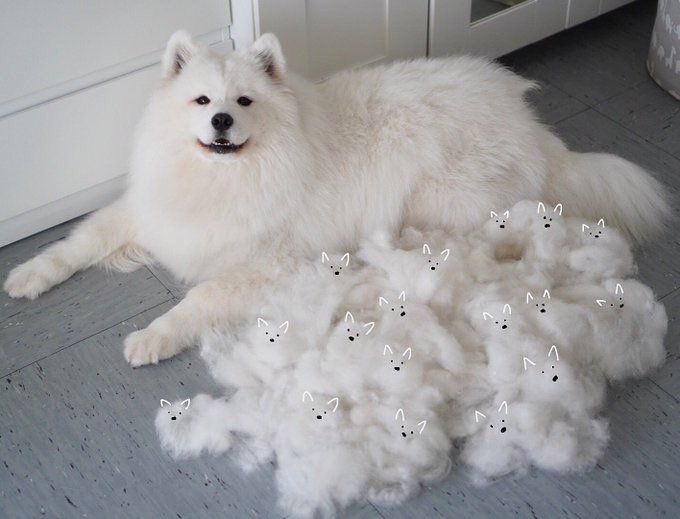 น้องๆของน่อ