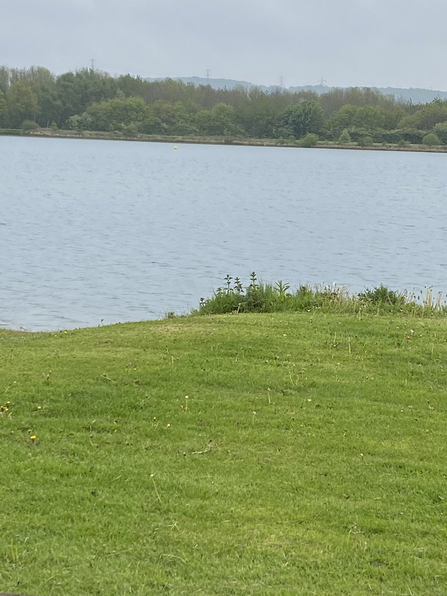 lez68's tweet image. #openwaterswimming in the rain this morning @ManleyMere