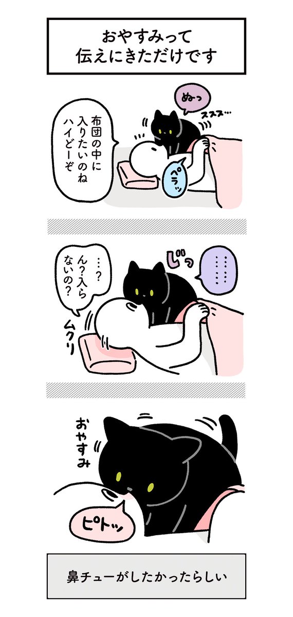 鼻チューでコミュニケーションするのがすきなねこの絵日記 #ろんの絵日記 