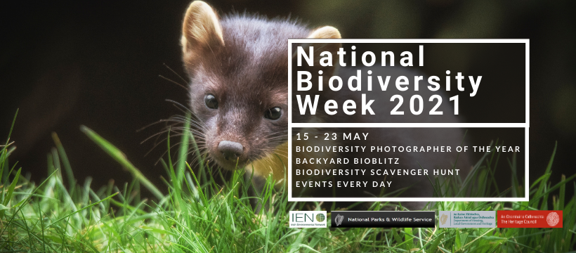 Corkcoco's tweet photo. This National Biodiversity Week 15-23 May 2021 explore the rich variety of life in Ireland with a host of delightful events &amp; activities for all the family to enjoy. A calendar of events will be launched very shortly on https://t.co/NzmnCCPoju
#KeepWell
#BioHunt
#BackyardBioblitz https://t.co/9SietX2Z28