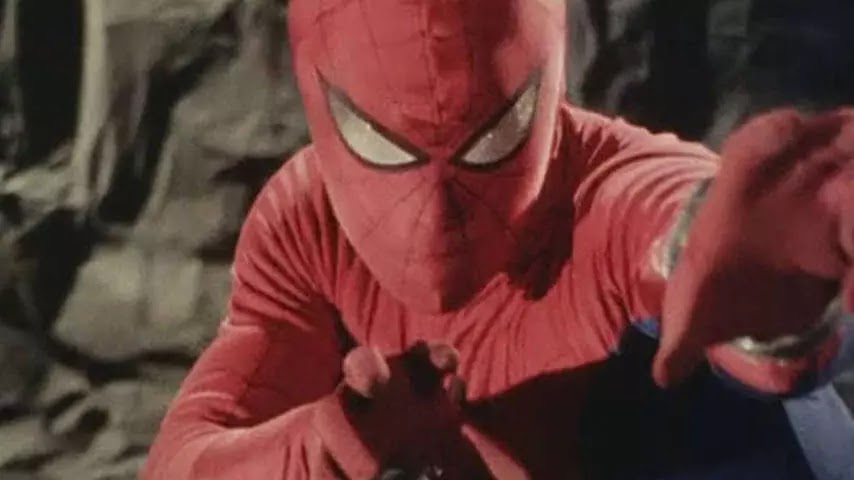 スパイダーマッ Hotワード