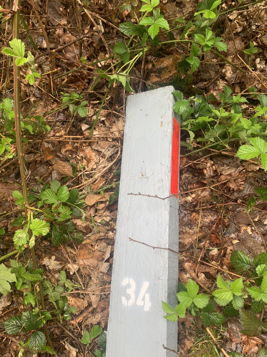 chaseranger's tweet photo. Absolutely disgusting. Last night on #cannockchase some of the deer deterrents have been vandalised and stolen. They r no good to anyone.We r trying to limit deer collisions and then this happens 😡@StaffsPolice @EandS_Cannock @CannockPolice @BritishDeerSoc https://t.co/9e3L8HnMGk