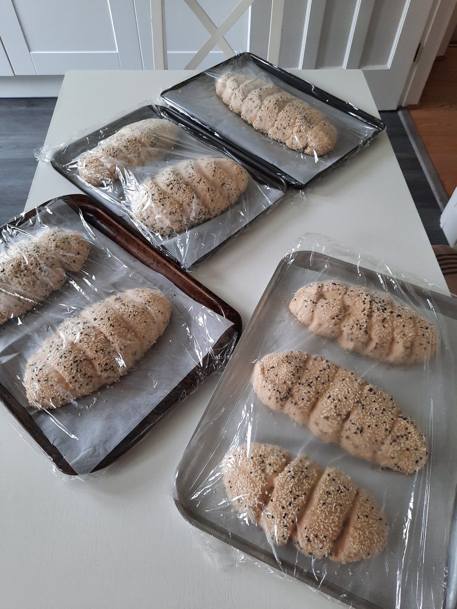 jan_sonmez's tweet photo. #baking #bread #TurkiskCypriotBread #Corek Second prove under cling film...rest my beauties 😂💛 https://t.co/HCvKx1WLb2