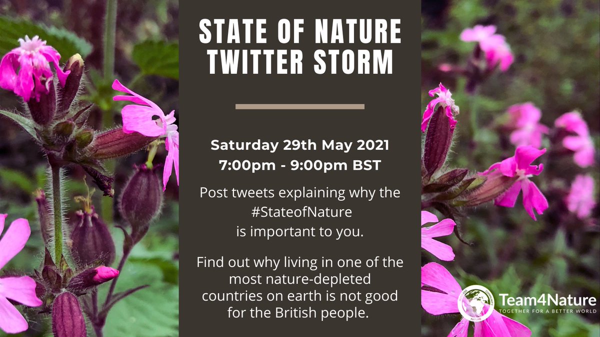 Team4Nature tweet media