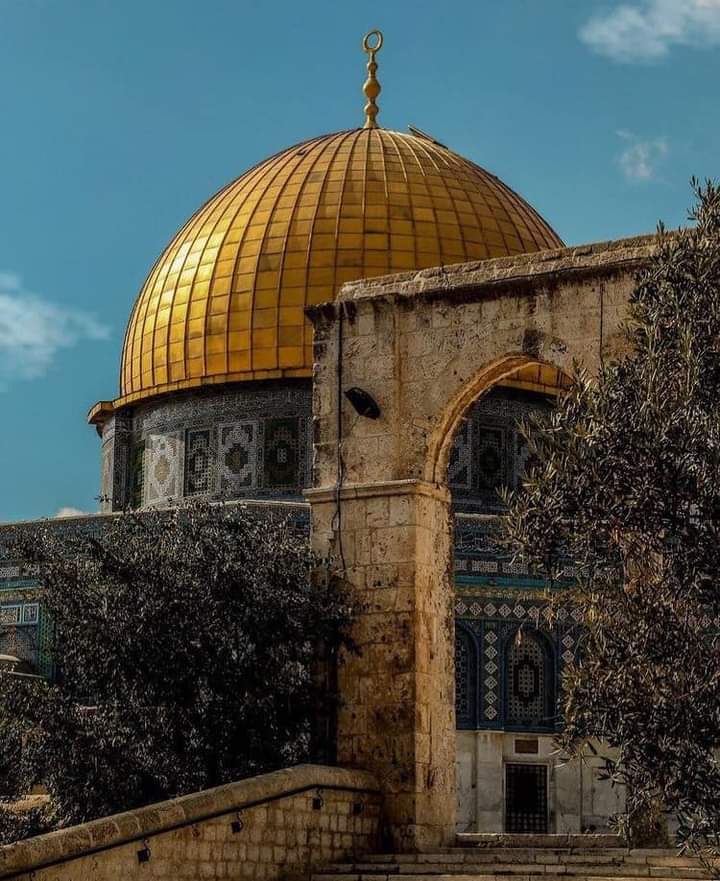 Sameh Elshazly tweet media